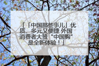 「中国那些事儿」优质、多元又便捷 外国消费者大赞“中国购”是全新体验！