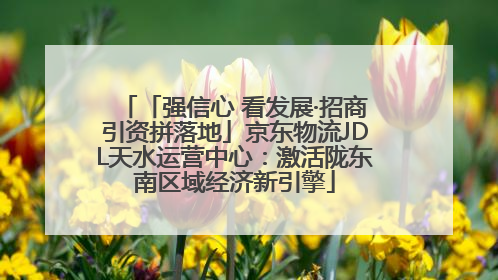 「强信心 看发展·招商引资拼落地」京东物流JDL天水运营中心：激活陇东南区域经济新引擎