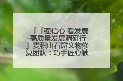 「强信心 看发展·高质量发展调研行」麦积山石窟文物修复团队：巧手匠心触摸“光阴的故事”