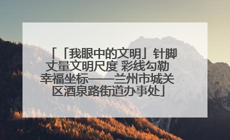 「我眼中的文明」针脚丈量文明尺度 彩线勾勒幸福坐标——兰州市城关区酒泉路街道办事处