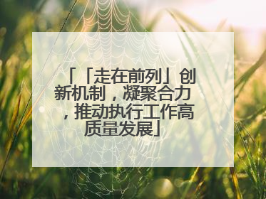 「走在前列」创新机制，凝聚合力，推动执行工作高质量发展
