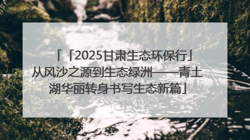 「2025甘肃生态环保行」从风沙之源到生态绿洲——青土湖华丽转身书写生态新篇