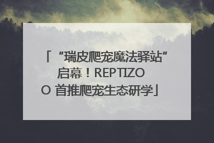 “瑞皮爬宠魔法驿站” 启幕！REPTIZOO 首推爬宠生态研学