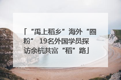 “禹上稻乡”海外“圈粉” 19名外国学员探访余杭共富“稻”路