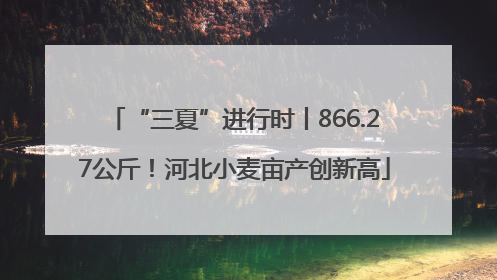 “三夏”进行时丨866.27公斤！河北小麦亩产创新高