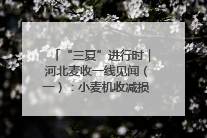 “三夏”进行时｜河北麦收一线见闻（一）：小麦机收减损“竞技” 农机高手麦田“过招”