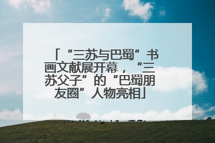 “三苏与巴蜀”书画文献展开幕，“三苏父子”的“巴蜀朋友圈”人物亮相