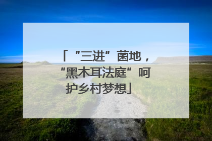 “三进”菌地，“黑木耳法庭”呵护乡村梦想