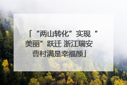 “两山转化”实现“美丽”跃迁 浙江瑞安曹村满是幸福颜