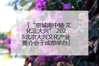 “京城南中轴·文化正大兴” 2025北京大兴文化产业推介会于成都举办