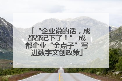 “企业说的话，成都都记下了！” 成都企业“金点子”写进数字文创政策