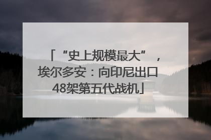 “史上规模最大”，埃尔多安：向印尼出口48架第五代战机