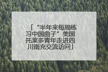 “半年来每周练习中国曲子”美国托莱多青年走进四川南充交流访问