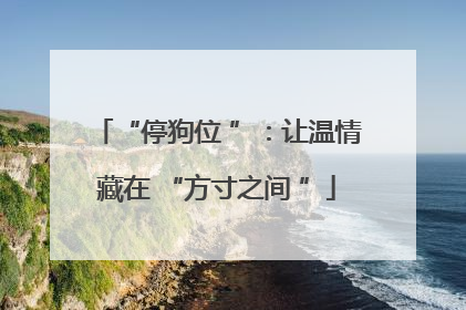 “停狗位 ”：让温情藏在 “方寸之间 ”