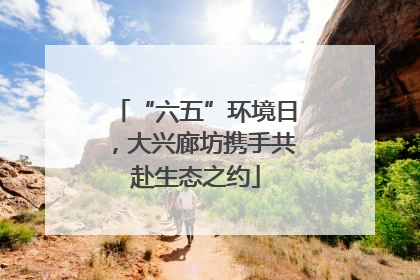 “六五”环境日，大兴廊坊携手共赴生态之约