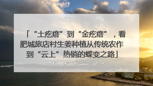 “土疙瘩”到“金疙瘩”，看肥城旅店村生姜种植从传统农作到“云上”热销的蝶变之路