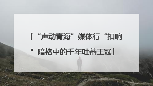 “声动青海”媒体行“扣响”暗格中的千年吐蕃王冠