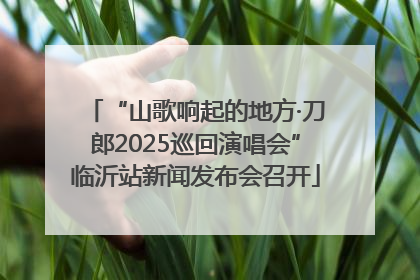 “山歌响起的地方·刀郎2025巡回演唱会”临沂站新闻发布会召开