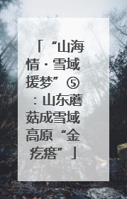 “山海情・雪域援梦”⑤：山东蘑菇成雪域高原“金疙瘩”