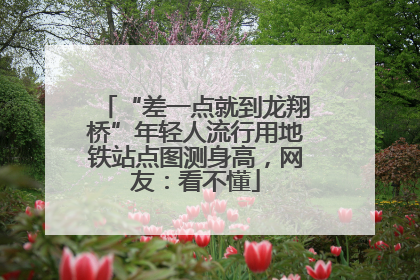 “差一点就到龙翔桥”年轻人流行用地铁站点图测身高，网友：看不懂