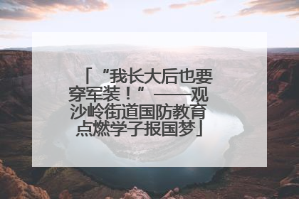 “我长大后也要穿军装！”——观沙岭街道国防教育点燃学子报国梦