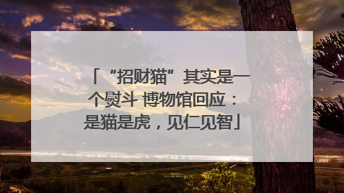 “招财猫”其实是一个熨斗 博物馆回应：是猫是虎，见仁见智