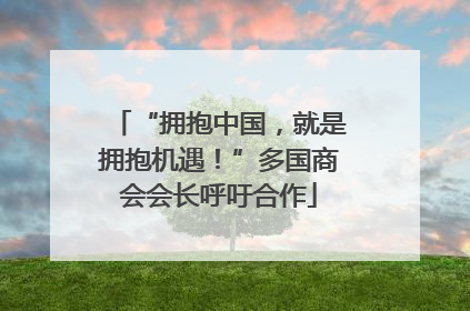 “拥抱中国，就是拥抱机遇！”多国商会会长呼吁合作