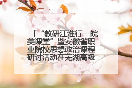 “教研江淮行—皖美课堂”暨安徽省职业院校思想政治课程研讨活动在芜湖高级职业技术学校举行