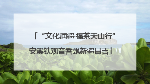 “文化润疆·福茶天山行”安溪铁观音香飘新疆昌吉