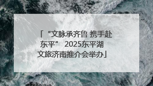 “文脉承齐鲁 携手赴东平” 2025东平湖文旅济南推介会举办
