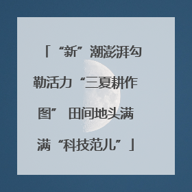 “新”潮澎湃勾勒活力“三夏耕作图” 田间地头满满“科技范儿”