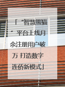 “智慧熊猫”平台上线月余注册用户破万 打造数字连侨新模式