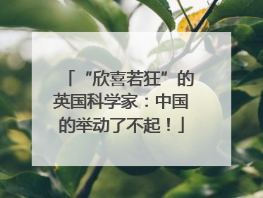 “欣喜若狂”的英国科学家：中国的举动了不起！