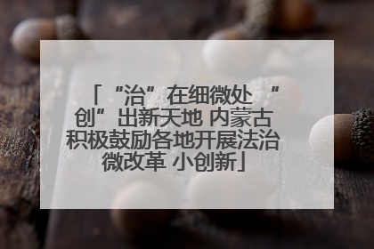 “治”在细微处 “创”出新天地 内蒙古积极鼓励各地开展法治微改革 小创新