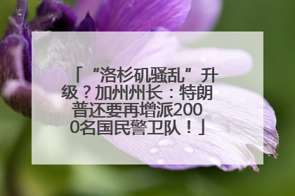 “洛杉矶骚乱”升级？加州州长：特朗普还要再增派2000名国民警卫队！