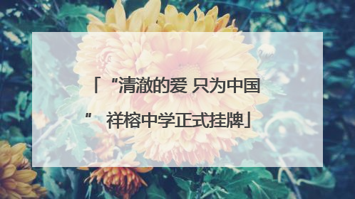 “清澈的爱 只为中国” 祥榕中学正式挂牌