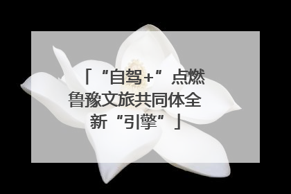 “自驾+”点燃鲁豫文旅共同体全新“引擎”