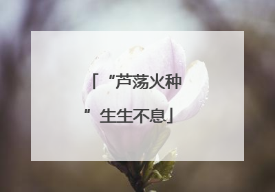 “芦荡火种”生生不息
