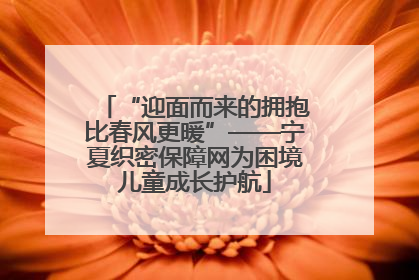 “迎面而来的拥抱比春风更暖”——宁夏织密保障网为困境儿童成长护航
