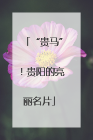 “贵马”！贵阳的亮丽名片