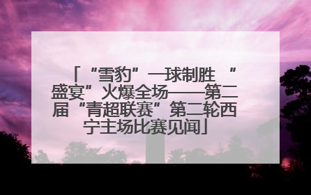 “雪豹”一球制胜 “盛宴”火爆全场——第二届“青超联赛”第二轮西宁主场比赛见闻