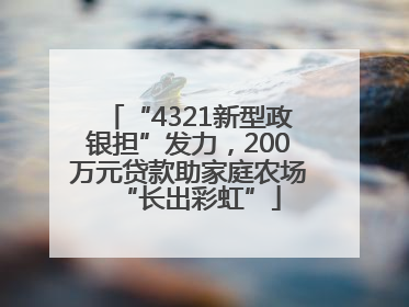 “4321新型政银担”发力，200万元贷款助家庭农场“长出彩虹”