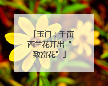 玉门：千亩西兰花开出“致富花”