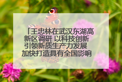 王忠林在武汉东湖高新区调研 以科技创新引领新质生产力发展 加快打造具有全国影响力的科技创新高地