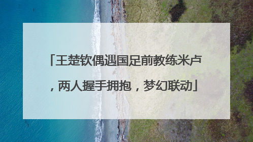 王楚钦偶遇国足前教练米卢，两人握手拥抱，梦幻联动