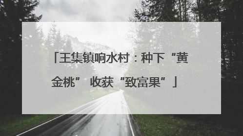 王集镇响水村：种下“黄金桃” 收获“致富果”