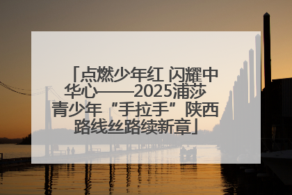 点燃少年红 闪耀中华心——2025浦莎青少年“手拉手”陕西路线丝路续新章