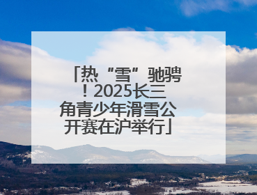 热“雪”驰骋！2025长三角青少年滑雪公开赛在沪举行