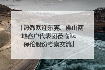 热烈欢迎东莞、佛山两地客户代表团莅临itc保伦股份考察交流