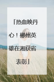 热血映丹心！郴州英雄在湘获省表彰